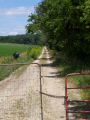 The trail - driveway - to the highpoint.jpg